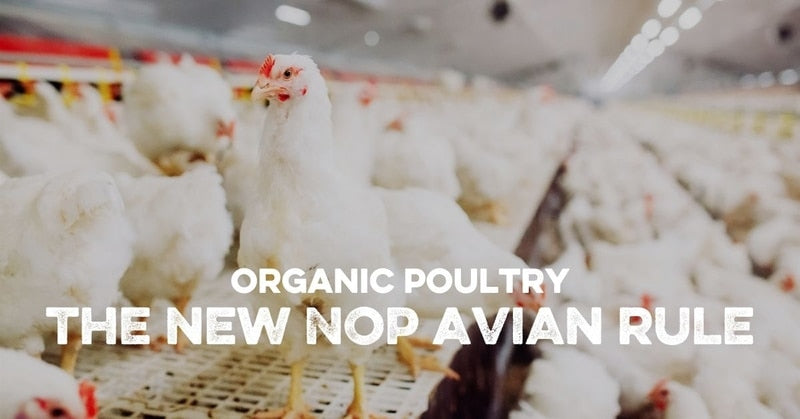 Organic Poultry: The New NOP Avian Rule – Southland Organics