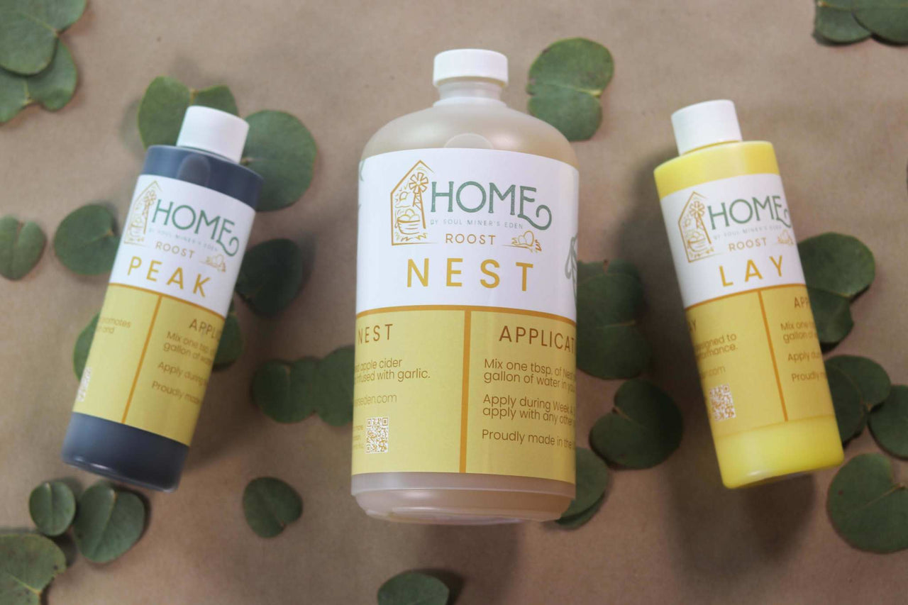 Boost your roost with safe, natural chicken supplements.